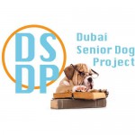we_support_senior_dog